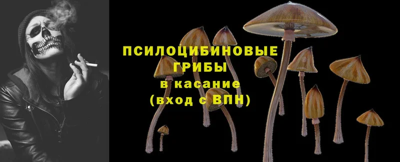 ОМГ ОМГ вход  что такое наркотик  Саки  Галлюциногенные грибы Cubensis 